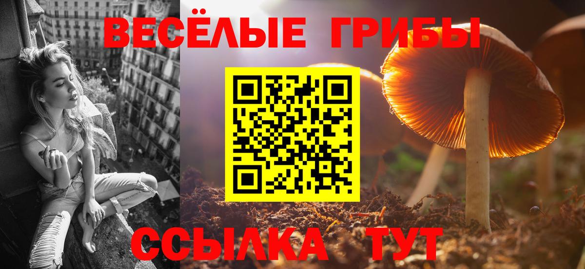Псилоцибиновые грибы мицелий  Псилоцибиновые грибы GOLDEN TEACHER  Вход с VPN  закладка  Киреевск 